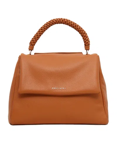 Orciani Bag In Brown