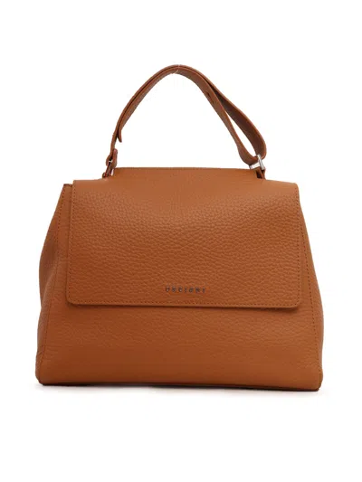 Orciani Bag In Brown