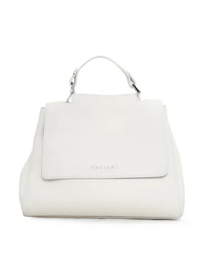 Orciani Bag In White