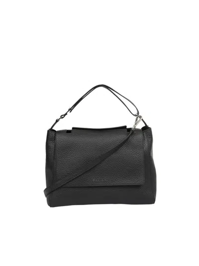 Orciani Bags
