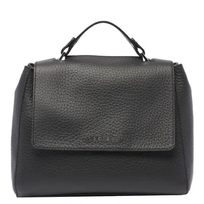 Orciani Bags
