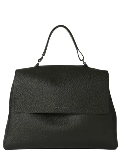 Orciani Bags In Black