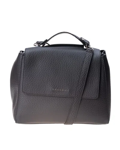 Orciani Bags.. Black In Nero