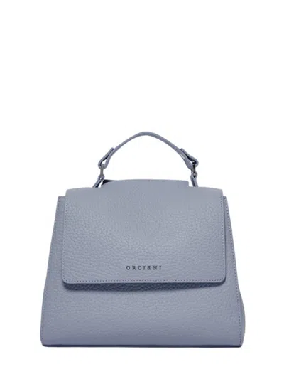 Orciani Bags In Blue