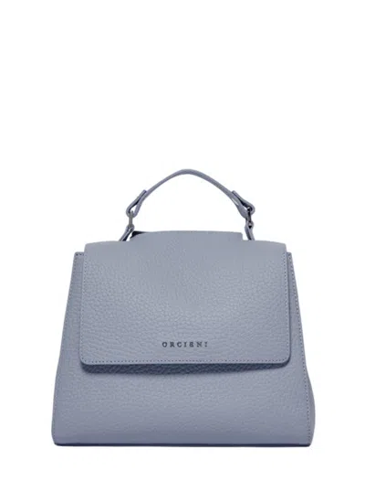 Orciani Bags In Blue