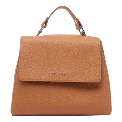 Orciani Bags In Brown