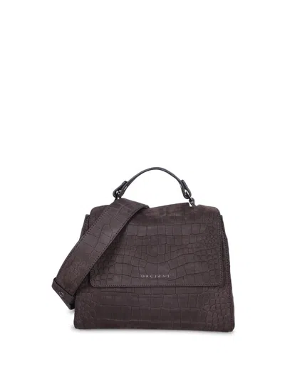 Orciani Bags In Brown