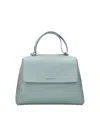 Orciani Bags.. In Blue