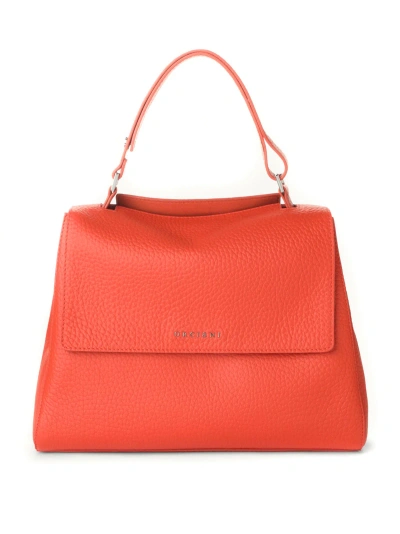 Orciani Bags.. Orange In Rosso