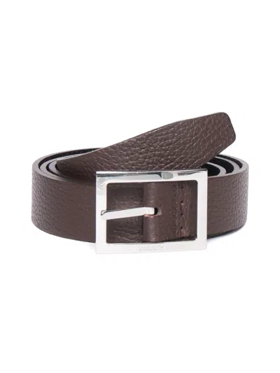 Orciani Belt In Brown