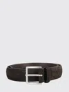 Orciani Cloudy Dark Suede Belt With Silver Buckle In Brown