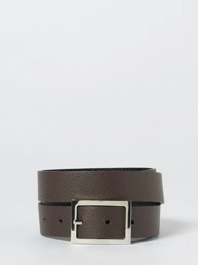 Orciani Belt Men  In Brown