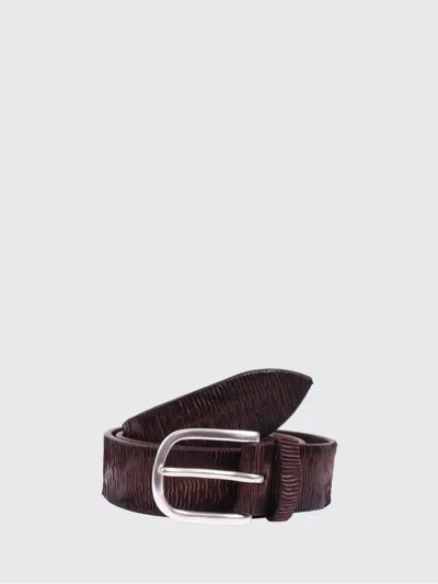 Orciani Belt Men  In Brown
