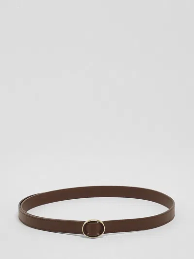 Orciani Belt Woman In Brown