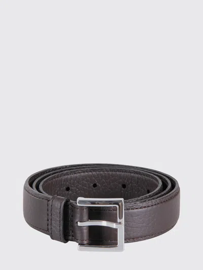 Orciani Belt Woman  In Brown