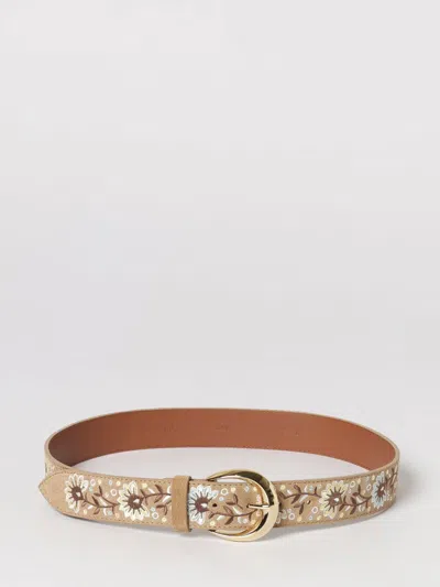 Orciani Belt Woman  In Brown