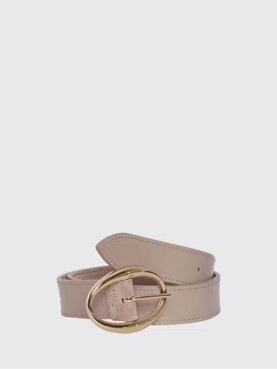 Orciani Belt Woman  In Brown