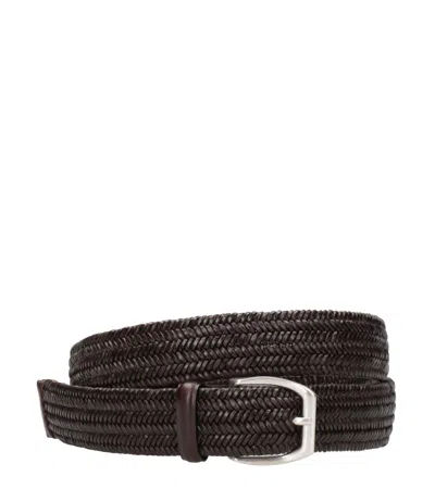 Orciani Belts Brown