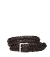 Orciani Belts In Brown