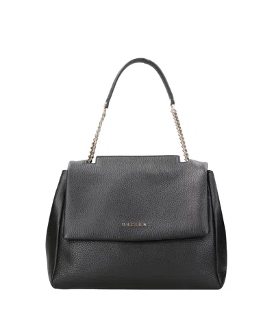 Orciani Bags.. Black