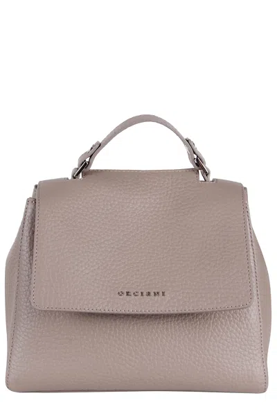 Orciani Borsa Sveva Soft Piccola A Mano In Brown