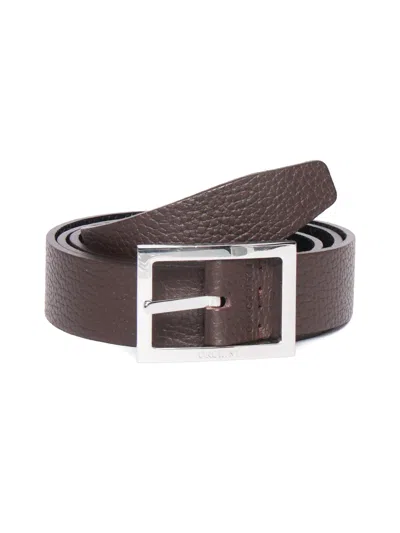 Orciani Cintura In Brown