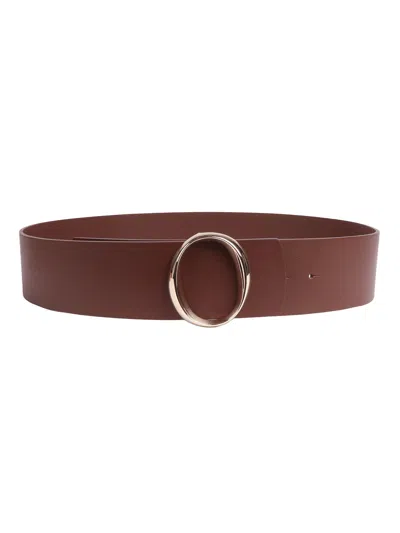 Orciani Cintura In Brown