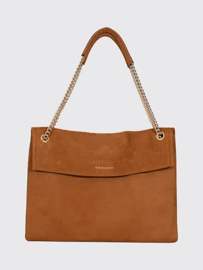 Orciani Crossbody Bag Woman In Brown