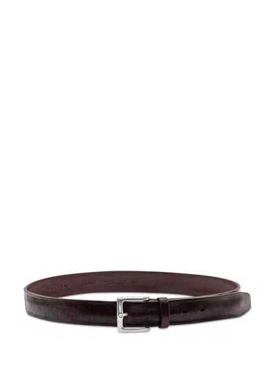 Orciani Elegant Metallic Buckle Decorative Belt In T.moro