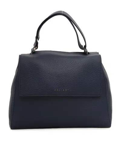 Orciani Handbag In Blue