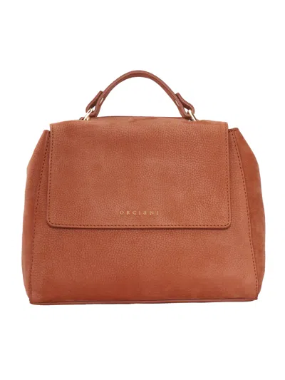 Orciani Handbag In Brown
