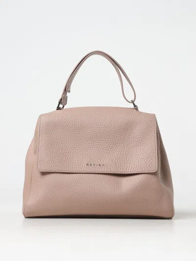 Orciani Handbag In Brown