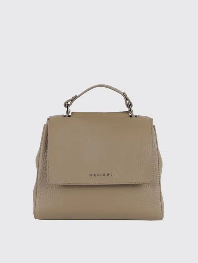 Orciani Handbag  Woman Color Green