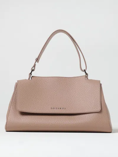 Orciani Handbag  Woman