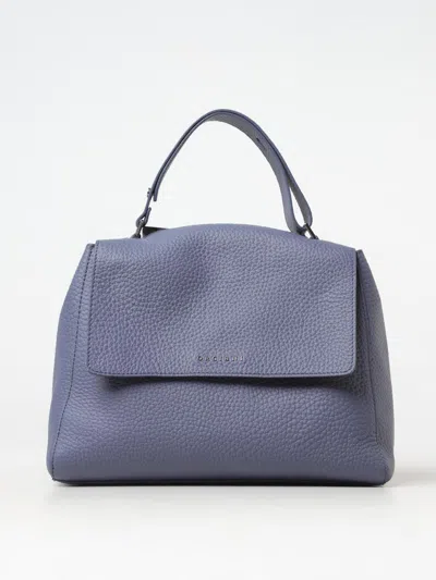 Orciani Handbag In Blue