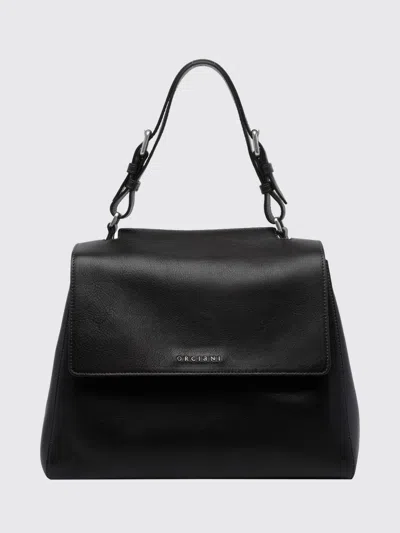 Orciani Handbag Woman Color Brown In Black