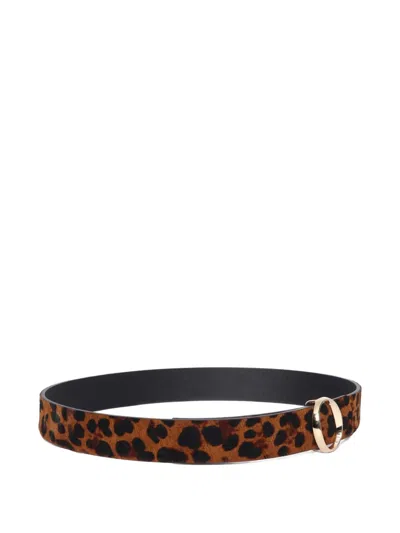 Orciani Leopard-print Belt In Brown