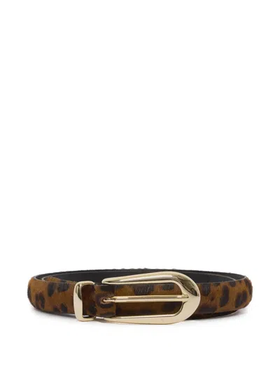 Orciani Leopard-print Calf Hair Belt In Brown