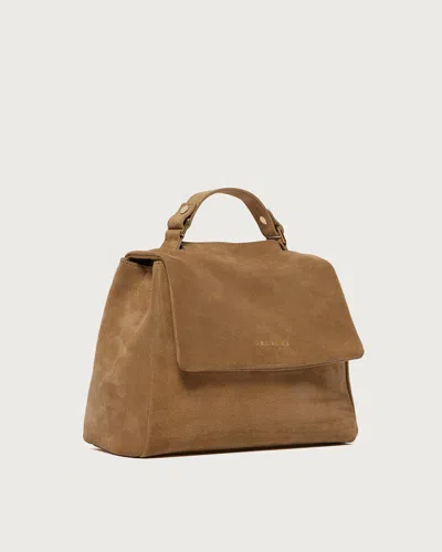 Orciani Logo Flap Tote In Brown