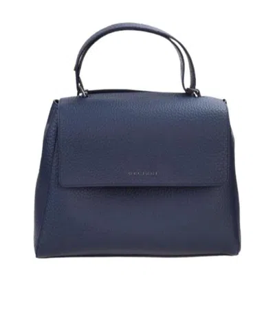 Orciani Handbags In Blue