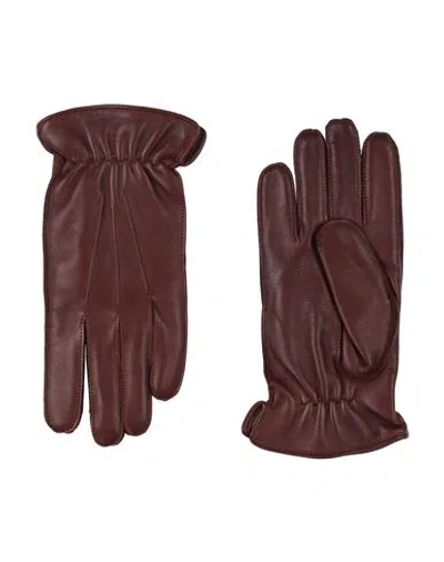 Orciani Man Gloves Brown Size 9 Cashmere, Wool, Leather