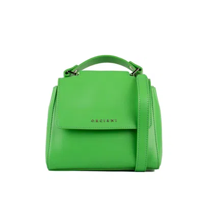 Orciani Bags.. Mint Green