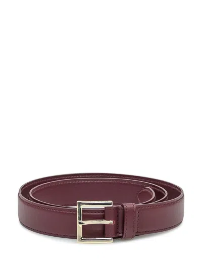 Orciani Leather Belt With Golden Buckle In Brown