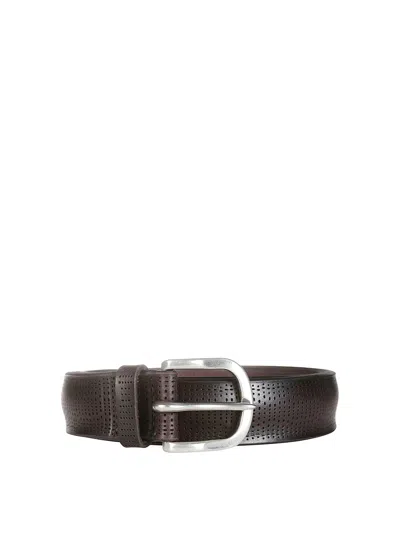 Orciani Perforated Belt H35 In Marrón Oscuro