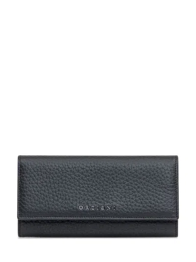 Orciani Small Leather Goods In Black