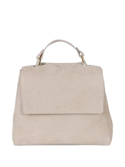Orciani Small Sveva Nabucco Leather Shoulder Bag In Neutral
