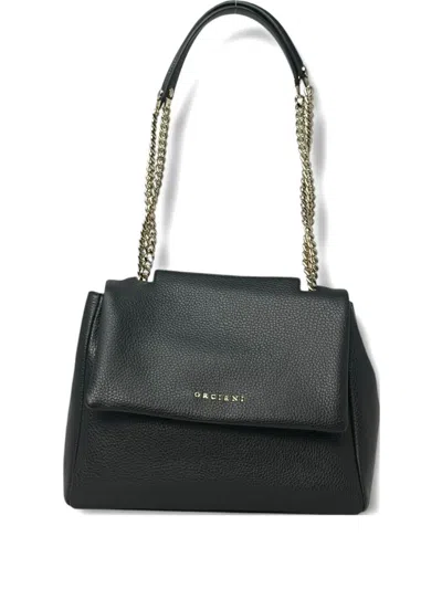 Orciani Small Sveva Shoulder Bag In Black