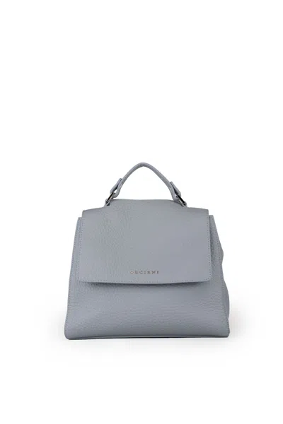 Orciani Small Sveva Soft Bag In Textured Leather