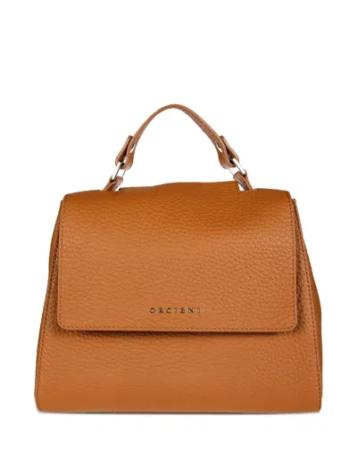 Orciani Small Sveva Tote Bag In 褐色