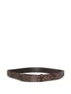 Orciani Stud-embellished Leather Belt In Brown
